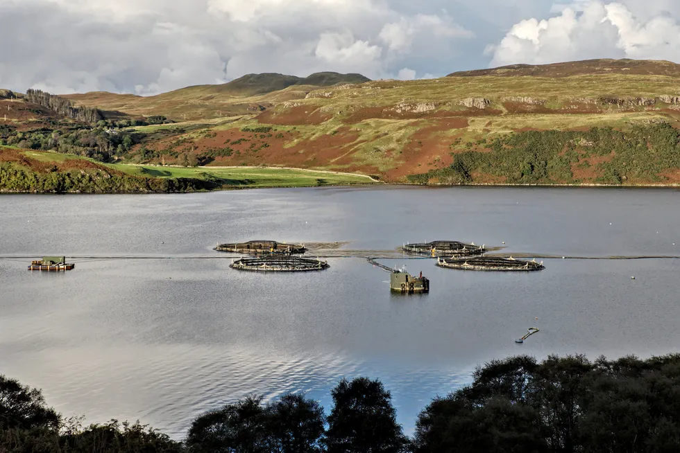 Scotland's netpen capacity increased by 860,000 cubic meters during 2023 and the number of sites in production increased by three.