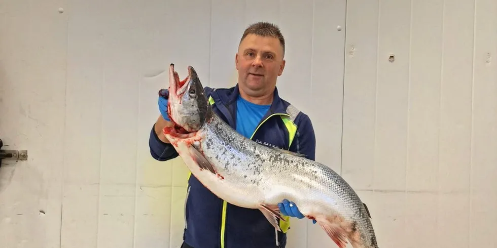 På bildet ser vi fiskehandler Karl Alberth Hansen. Fisken på bildet er en Atlanterhavslaks, som han altså gir terningkast 10. Høgest terningkast får pukkellaksen, som er Stillehavslaks.