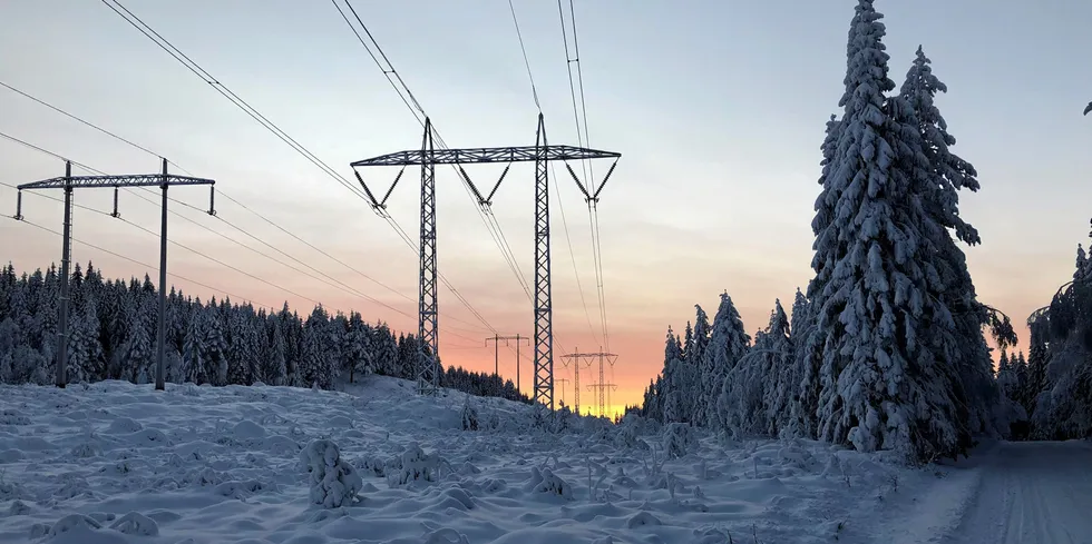 Lave priser på kontinentet, til og med negative priser i enkelte timer, gjør at det er full import til Norge og norske vannkraftprodusenter kan skru igjen kranene.