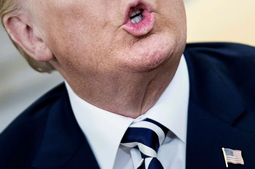 Ifølge Washington Posts egen telling kom Trump med i snitt 5,9 usannheter og villedende påstander daglig i sitt første år som president. Foto: BRENDAN SMIALOWSKI/AFP/NTB Scanpix
