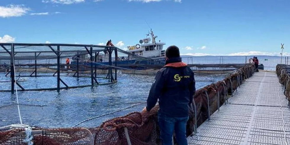 Inspektør fra fiskerimyndighetene undersøker et anlegg. Illustrasjonsbilde.