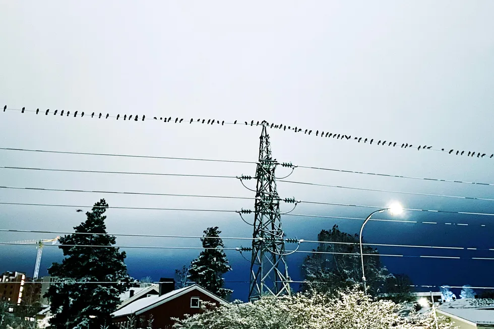 Som bildet tydelig viser så er det kø i nettet. RME vurderer hvordan nettkø skal påvirke nettselskapenes inntekter.