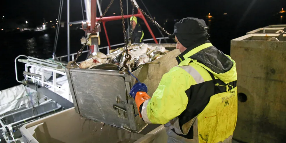 Lofotbåten «Nordegg» leverer fersk torsk ved Gunnar Klos avdeling på Stø i Vesterålen i februar. Sjømatanalytiker mener det er all grunn til å tro at de høye torskeprisene vi har hatt i vinter, vil holde seg.