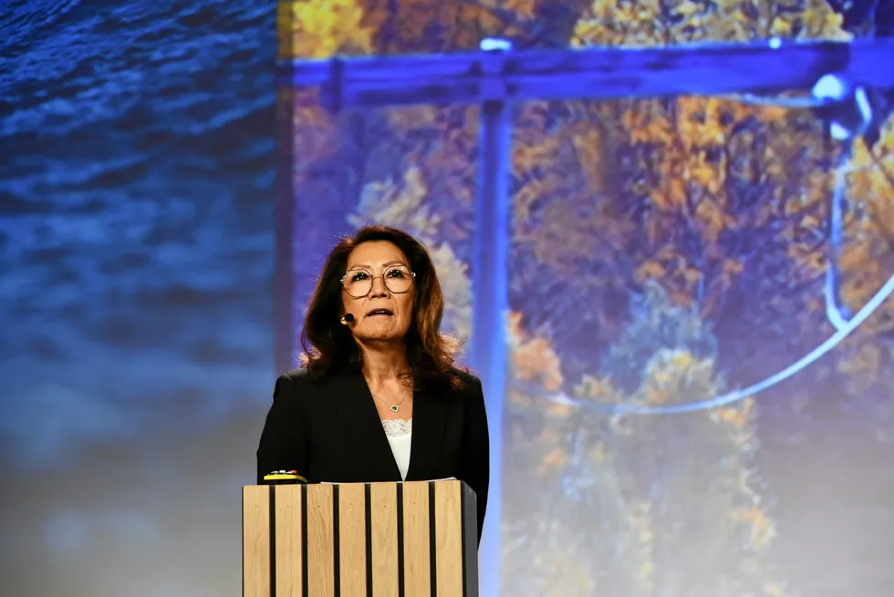 Anne Knausgård er Parkwind sin landssjef i Norge. Til tross for at både turbiner og fundament vil bli produsert i utlandet mener hun det er store muligheter for norsk leverandørindustri, særlig innen konstruksjonshavner.