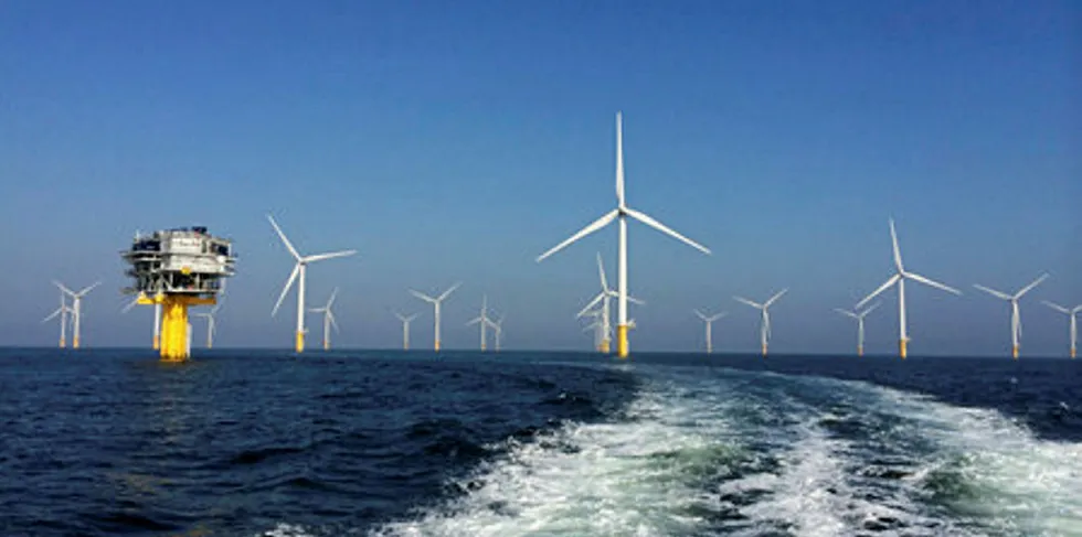 Parkwind has already developed Northwind in Belgian waters.