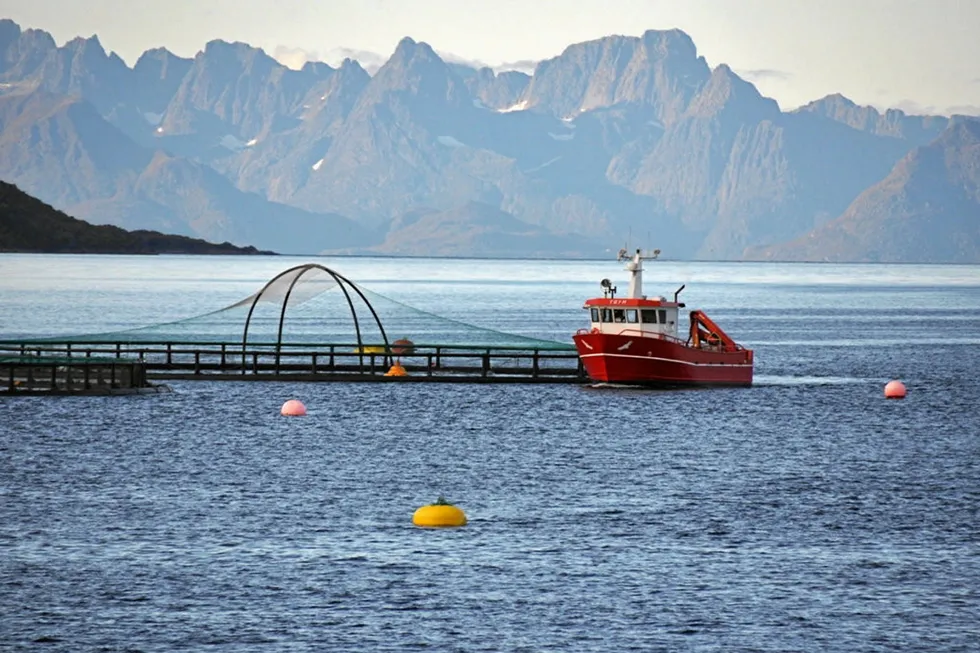 Bildet viser en lokalitet i Vestfjorden i produksjonsområde 9. Det er her prisene har steget mest under dagens auksjon så langt.