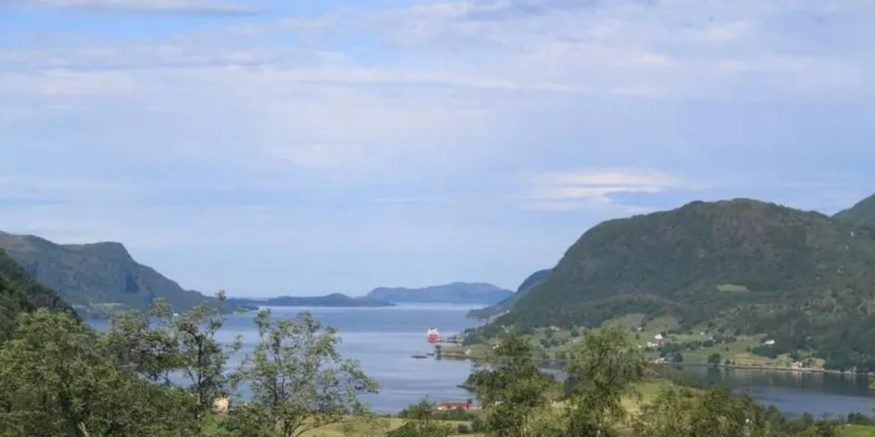 FØRDEFJORDEN: Flere interessenter, blant annet fiskerorganisasjoner, frykter for konsekvensene for livet i Førdefjorden dersom det blir gitt tillatelse til sjødeponi for den planlagte mineralutvinningen i området.