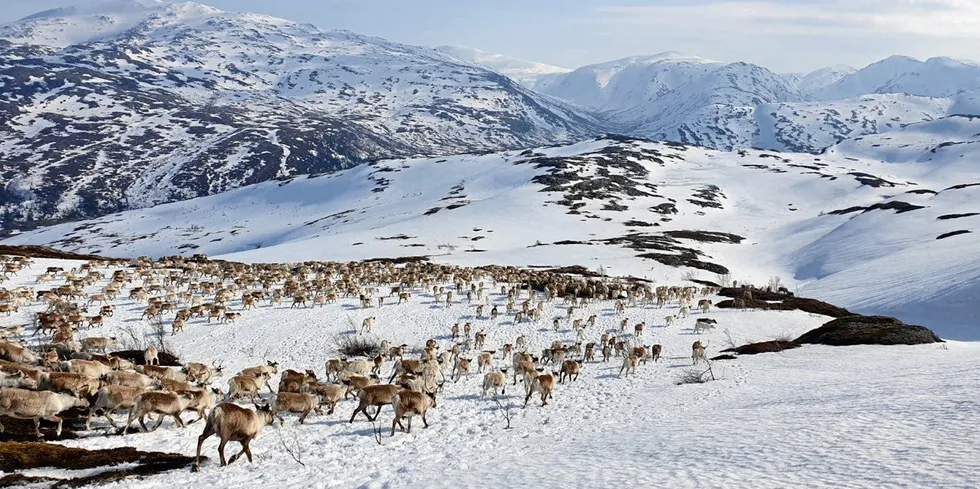 Rettssaken om Øyfjellet-utbyggingen starter 27. mai, etter en rekke utsettelser.