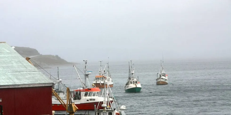 Takket være struktureringen har båtene fått økte kvoter og kan være i drift istedenfor å ligge med kaia.Foto: Terje Jensen