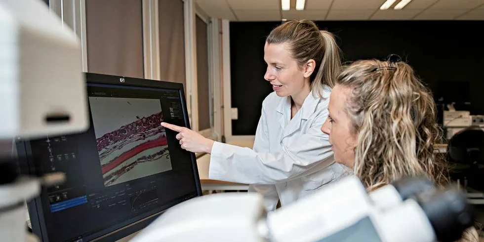 Lene Sveen (til v.) jobber med skinnhelse og sår hos oppdrettslaks. Her er hun på laboratoriet med Elisabeth Ytterborg.Foto: Jon-Are Berg-Jacobsen