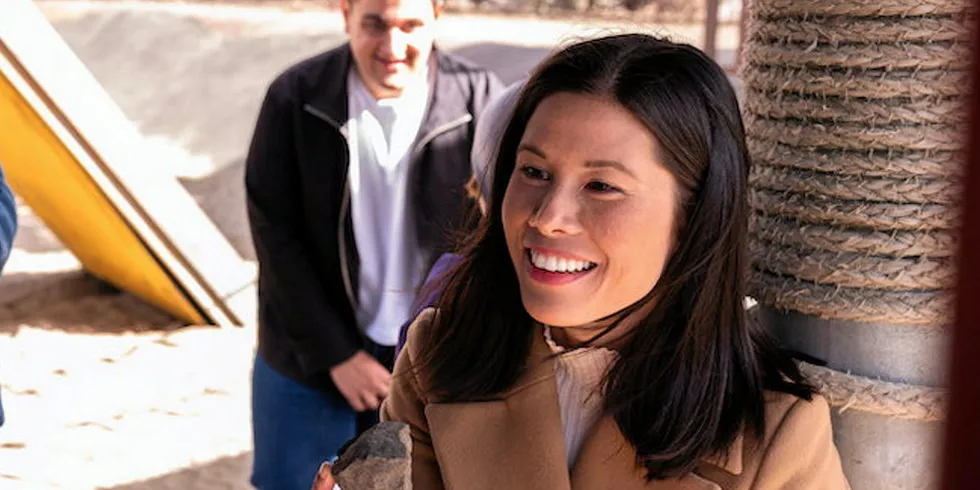 Lan Marie Nguyen Berg fremmer i dag forslag på vegne av Miljøpartiet De Grønne (MDG), der partiet ønsker at Stortinget skal be regjeringen om blant annet å utrede et toprissystem for strømprisen.