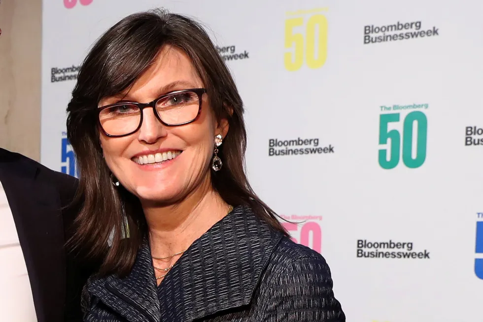 Nettmagasinet Style beskriver stjerneforvalter Catherine Wood som «religiøs, Reddit-yndling, Trump-supporter». Hun markerte seg politisk ved å støtte gjenvalg av tidligere president Donald Trump, men har understreket at det var fra et rent økonomisk perspektiv.