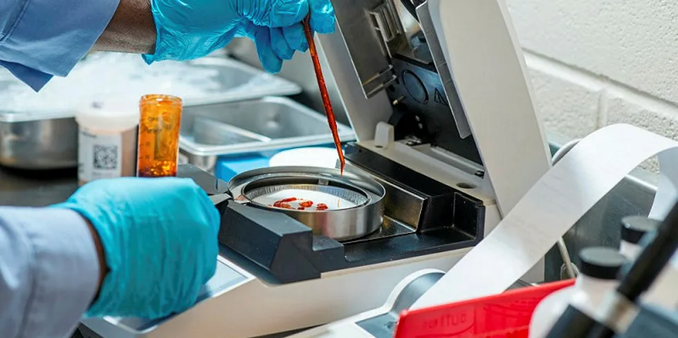 Krill being examined in the lab in Houston. Outside photo: Aker founder Kjell Inge Rokke. Photo: Fartein Rudjord