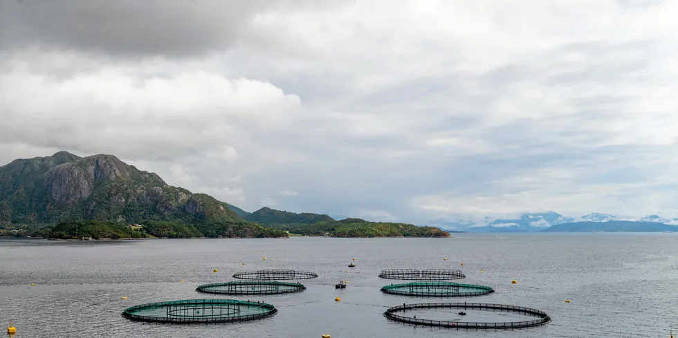 SalMar's farming operation in Midsund.