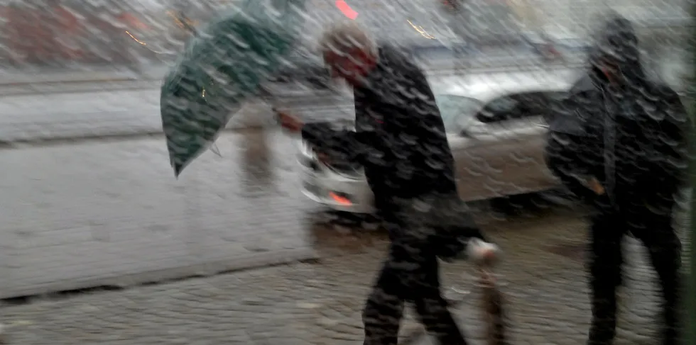 Høstregn i Bergen er ikke uvanlig. Men i oktober regnet det mer enn noen gang tidligere. Likevel hjalp ikke det så mye på strømprisen i området.