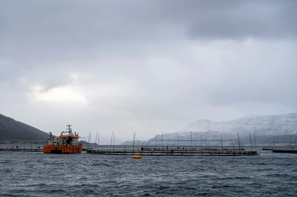 NorCods anlegg i Labukta i Nesna Kommune.