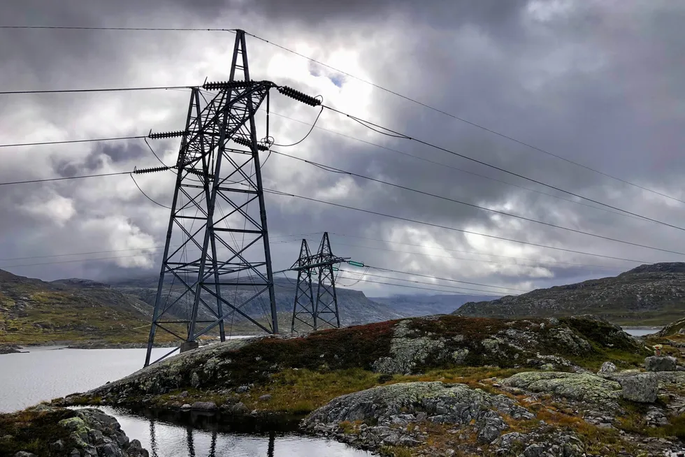 Tre omstridte energidirektiver må fortsatt vente på å bli innlemmet i EØS-avtalen.