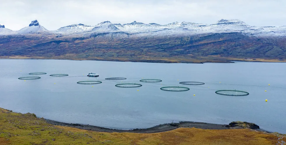 Ice Fish Farm på Island.