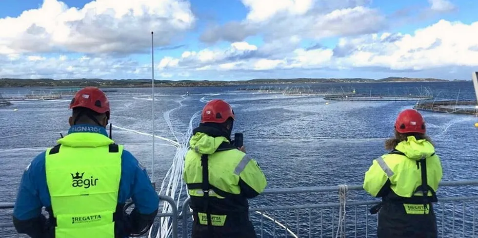 Ægir, havbruksmuseets havbruksavdeling, er ute på havbrukstur i Hitra-område.