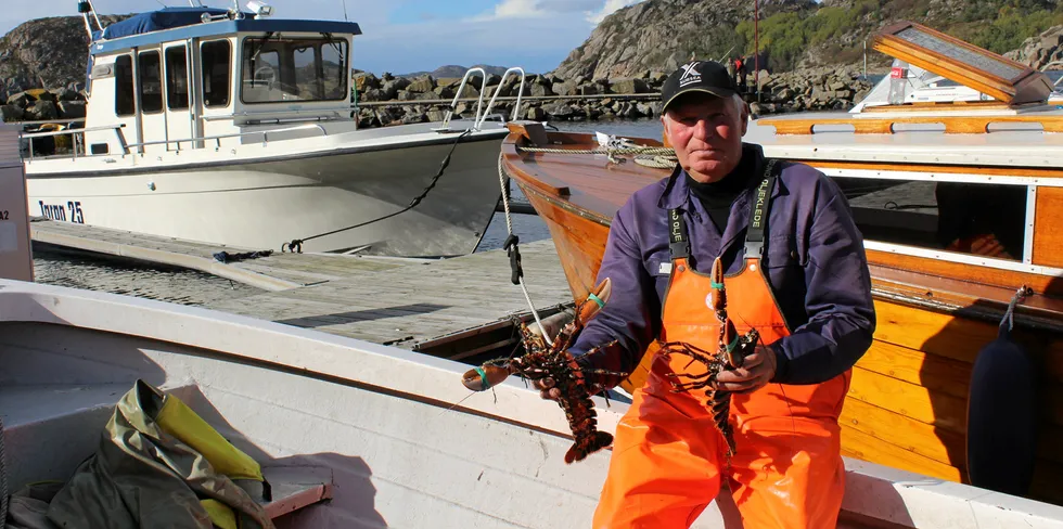 – For min del ble hummerfisket omtrent som i fjor, sier Erling Kristensen fra Korshamn i Lyngdal. På utsida av Korshamn fikk han 40 hummer i det første trekket av 50 teiner og det ble hans beste fangst i år.