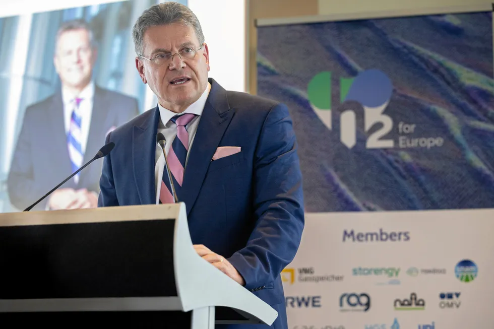 Maroš Šefčovič, European Commissioner in charge of the EHB.