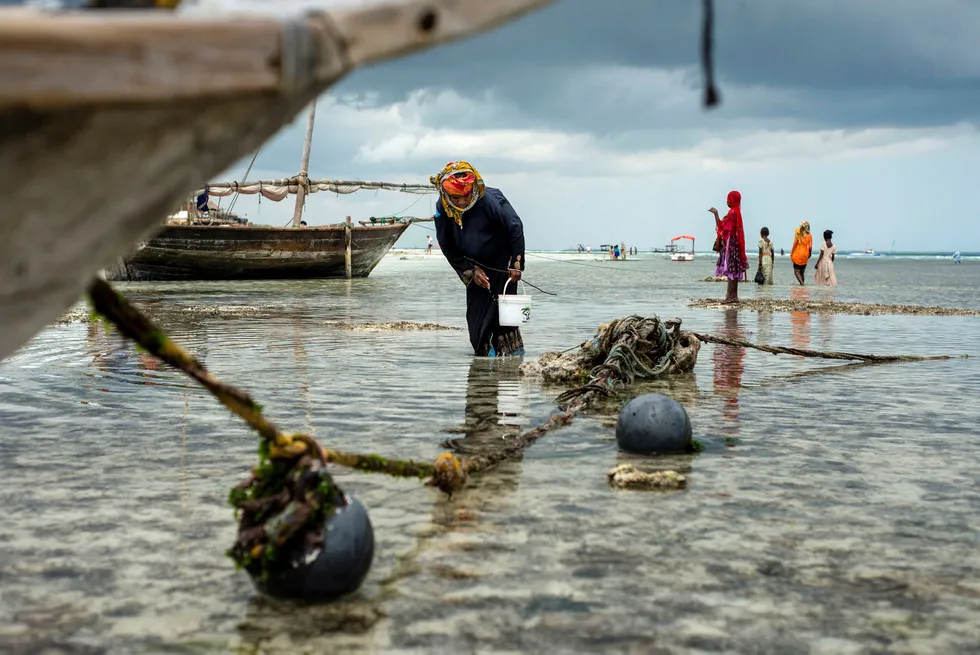 Det er ingen grunn til å tro at befolkningen i land som Honduras får det bedre om Norfund (og andre utviklingsinvestorer) trekker seg helt ut. Foto: NurPhoto via Getty Images