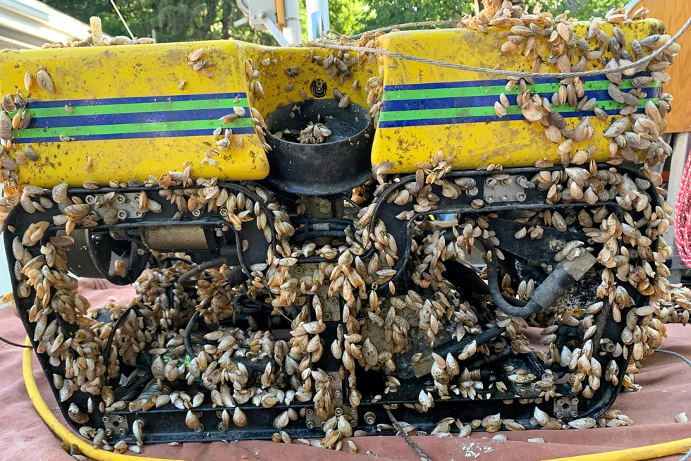 Crusty: the Seamor Legacy 300T ROV just after it was lifted to the surface.