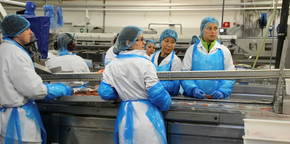 Skagerak Salmon i Hirtshals eies av norske Sekkingstad.