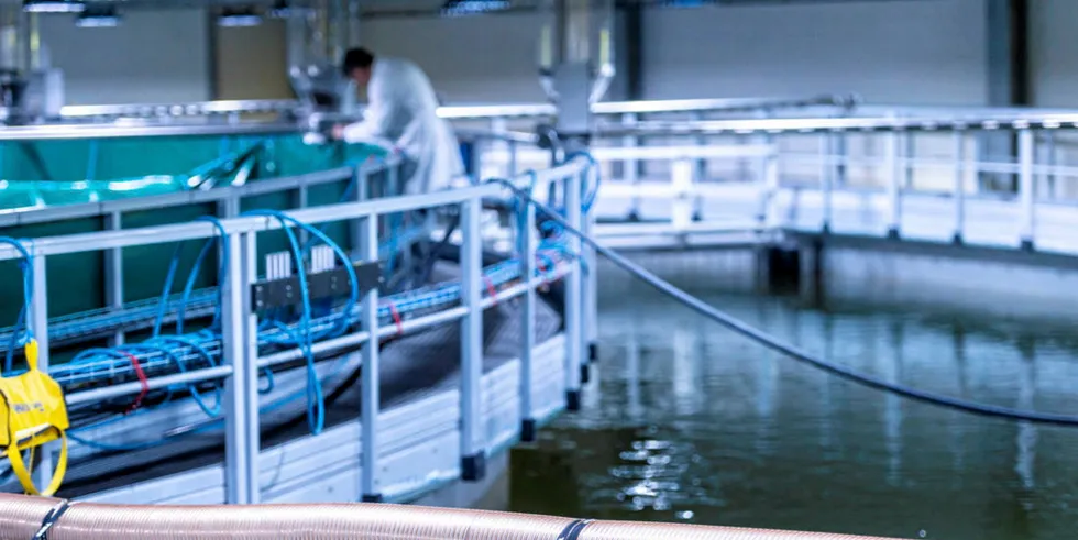 Fredrikstad Seafoods produserer laks på land.