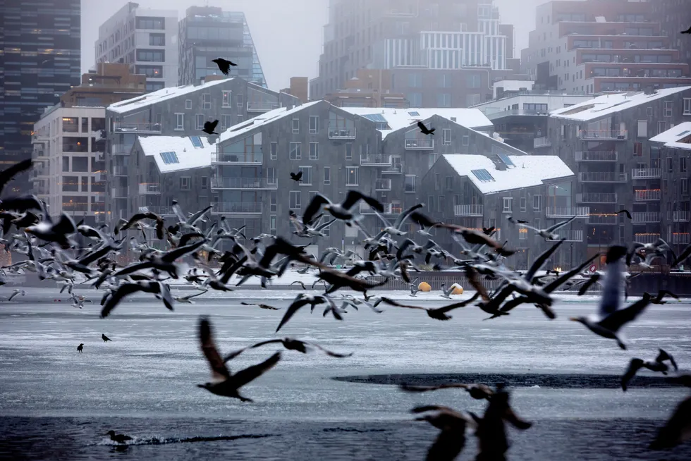 Tirsdag la Eiendom Norge frem boligrapporten for november. Foto fra Bjørvika i Oslo.