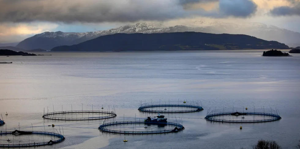 Illustrasjonsfoto: Oppdretterne vet ofte ikke hvor mye fisk de har i merdene. Nå vil Fiskeridirektoratet kreve langt mer nøyaktige tellinger.