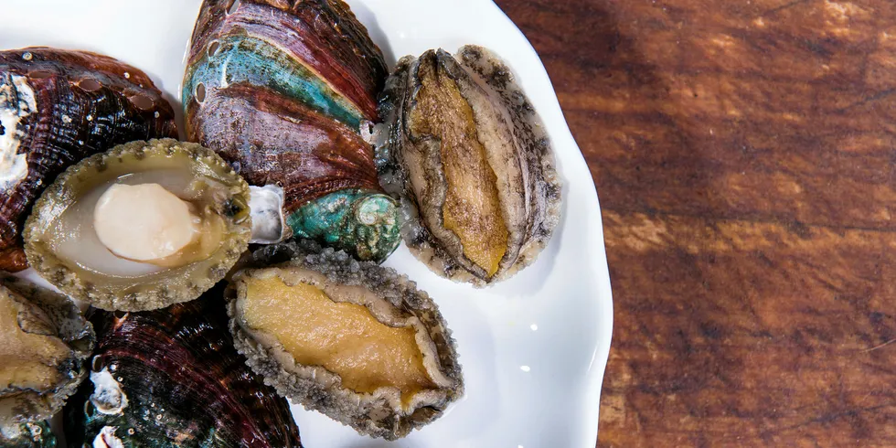 The abalone is destined for the Chinese market.