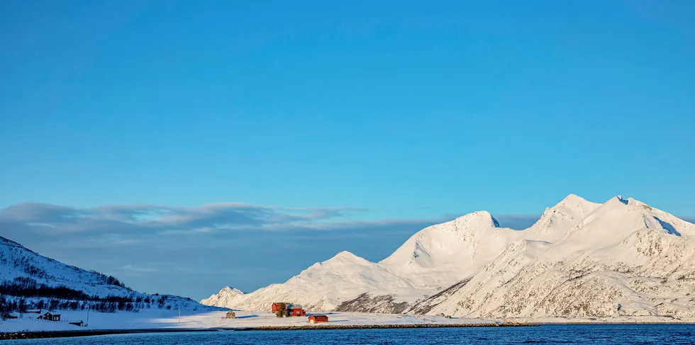 KYSTTORSK-VERN: Fiskeriministeren ber direktoratet vurdere å innføre strengere begrensninger på bruk og om grensen for hvor lang en båt kan være for å kunne fiske innenfor fjordlinjene skal settes ned. Her fra Skjervøy i Nord-Troms.