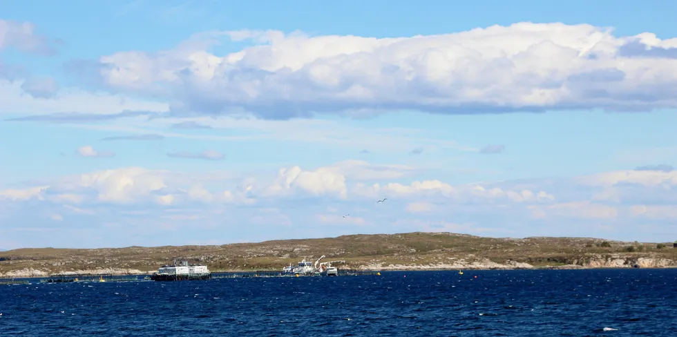 Måsøval Fiskeoppdretts lokalitet Lamøya ligger rett utenfor kommunesenteret Sistranda på Frøya.