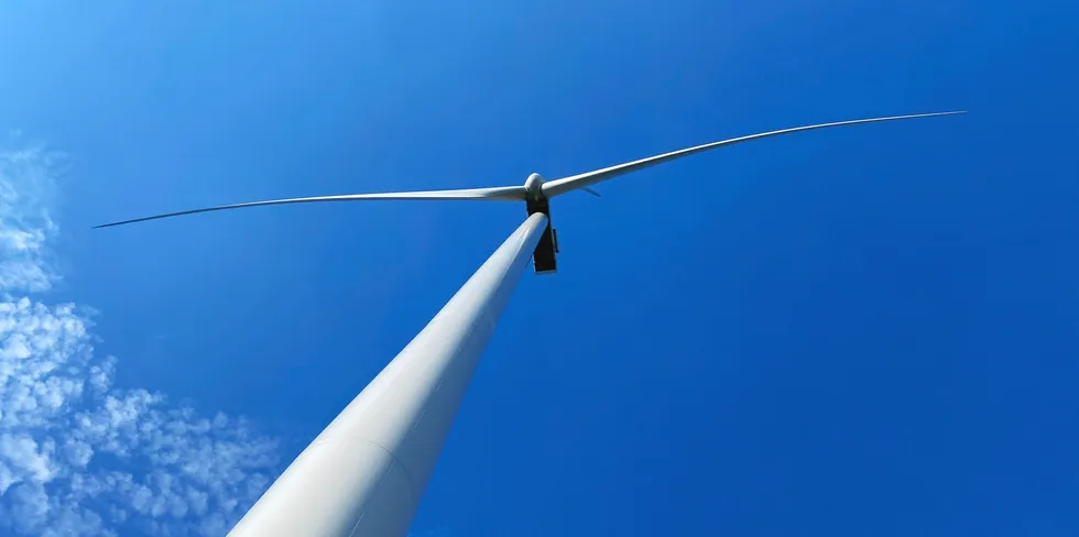Det svenske vindkraftselskapet Eolus mener det er uaktuelt å male rotorblader for å redusere fugledød.