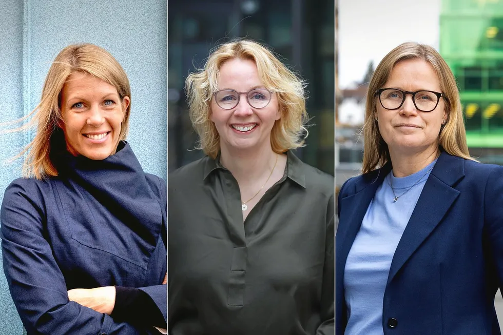 Ragnhild Janbu Fresvik (Eviny), Kristin Lian (Hafslund) og Birgitte Ringstad Vartdal (Statkraft) – er blant konsernsjefene som har meldt inn vindkraftplaner.