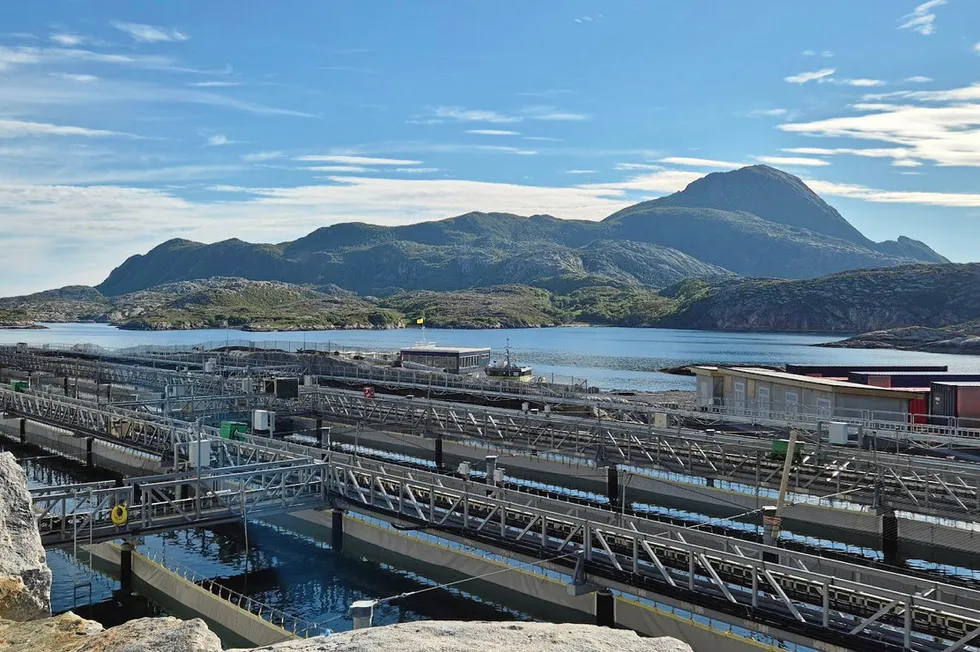 Gigante Salmon bygger et landbasert oppdrettsanlegg på Lille Indre Rosøy i Rødøy kommune på Helgeland. Her vises anlegget med fjelltoppen Rødøyløva i bakgrunnen.