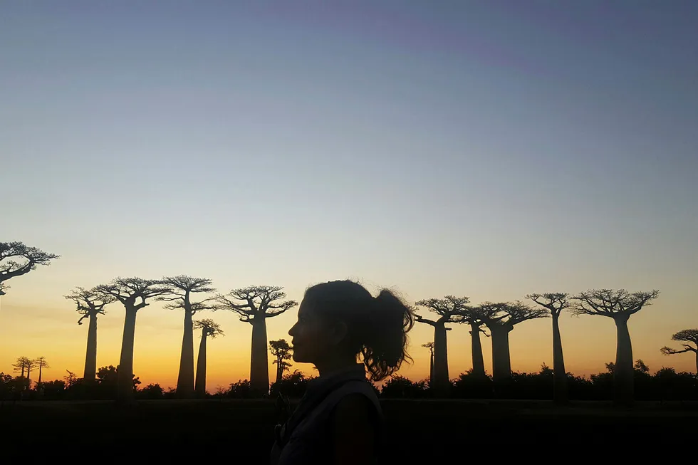 Up in the air: Madagascar's licensing round called off, for now