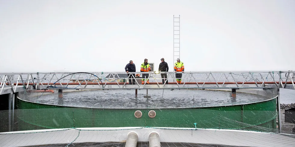 Mange av de nye anleggene som planlegges er såkalt resirkuleringsanlegg, en relativt ny teknologi hvor vannet resirkuleres gjennom ulike filtre. Her settefisk-produksjon i Bioparken på Tjeldbergodden i Møre og Romsdal.