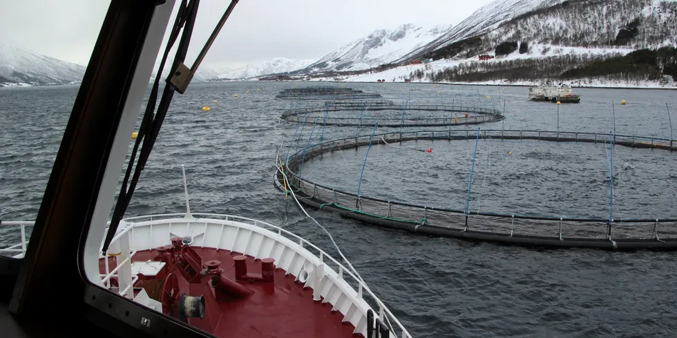 Illustrasjonsfoto fra broen på Nordlaks' brønnbåten «Bjørg Pauline»- her på lokaliteten Holandselv i Kvæfjord kommune i Troms.