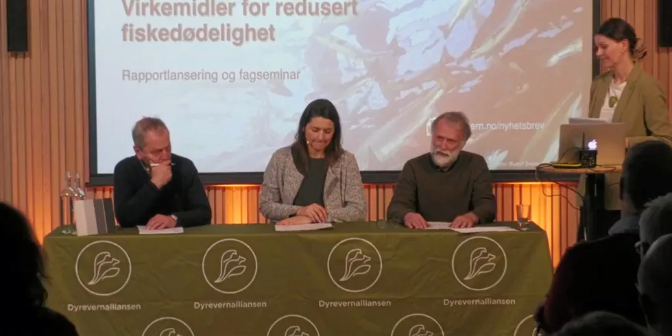 Bilde fra livestreaming fra Dyrevernalliansen. Panel bestående av: Trygve Poppe, Karoline Skaar Amthor, Edgar Brun.