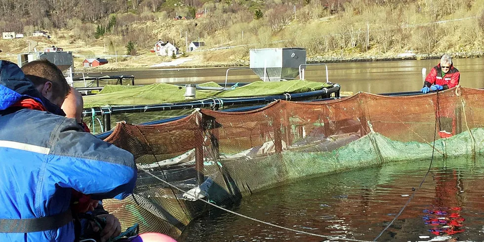 Dropin-løsningen monteres på ei merd med ishavsrøyer.