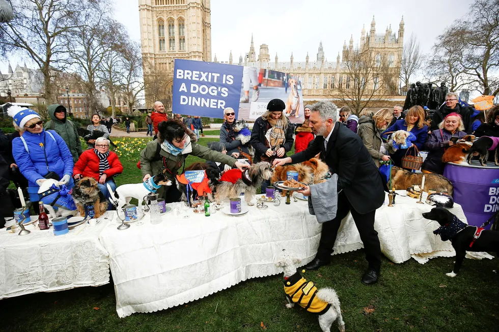 Markeringer for og mot brexit har pågått her utenfor parlamentet helt siden før folkeavstemningen sommeren 2016, nå sist med hunder mot brexit i helgen. Tirsdag skal parlamentarikerne i bygningen bak nok en gang stemme over brexit, og statsminister Theresa Mays fremtid.