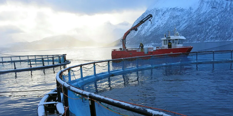 Er du en kvinne med interesse for havbruk? Da kan dette bli din nye arbeidsplass. Dette er en av Kvarøy Fiskeoppdretts lokaliteter på Lurøy.