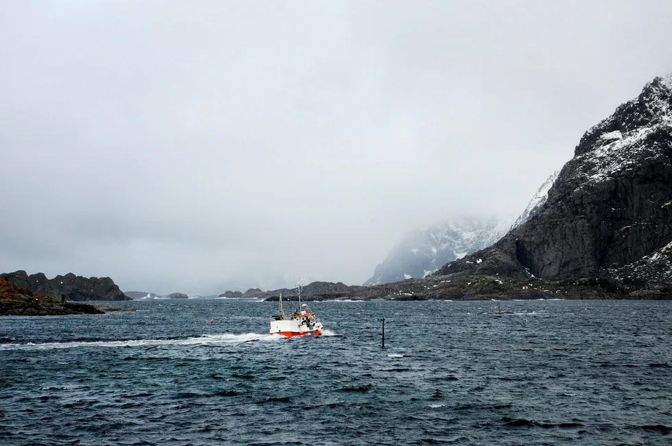 Et stort antall lokallag og fylkeslag i Arbeiderpartiet har vedtatt uttalelser om et oljefritt Lofoten og Vesterålen. Her fra Henningsvær i Lofoten.