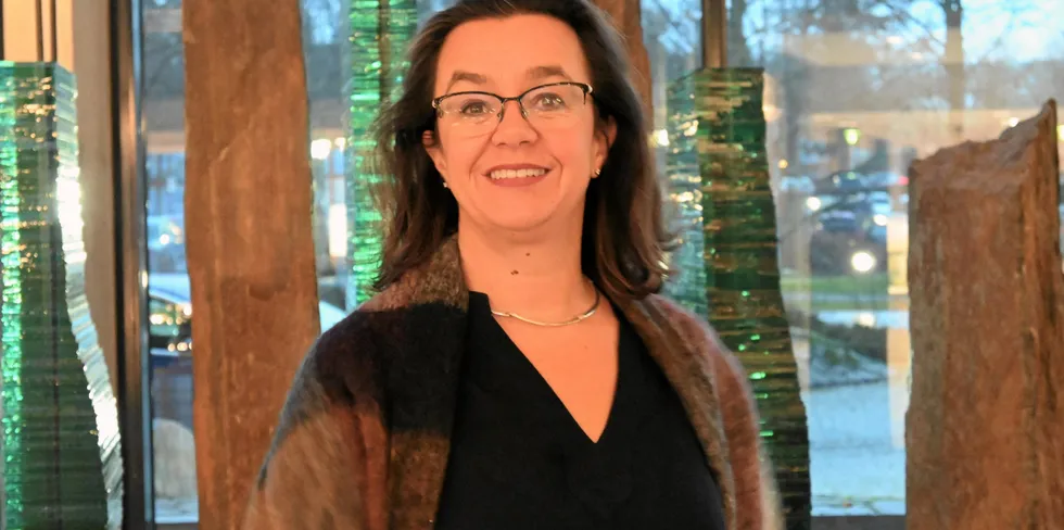 Henriette Undrum begynte som fornybarforsker i Equinor for 25 år siden, nå har hun ledet arbeidet med selskapets nye grønne industriplan.