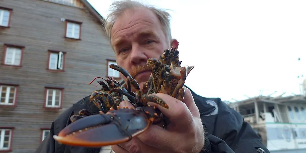 Kurt Oddekalv med død hummer fra fiskeren Kristian Breivik ved Herdlevær i Hordaland. Erko Seafood hadde avlust med Trident og Alpha Max like før hummeren døde. Arkivfoto: Ole Erik Klokeide