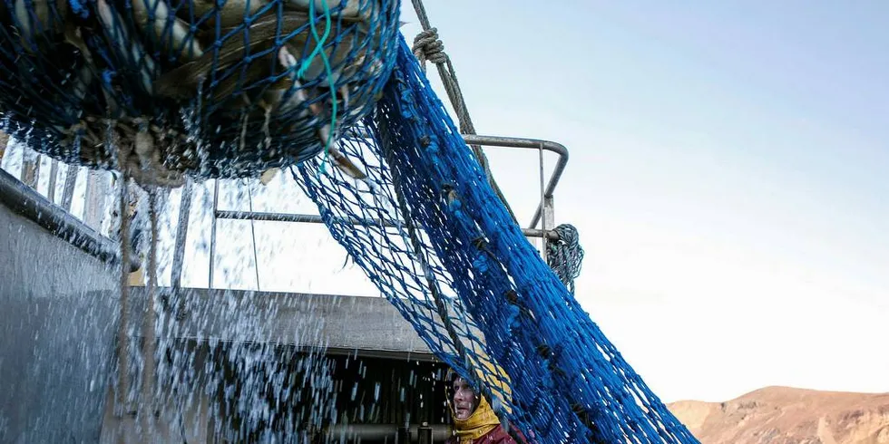 SPESIALORDNINGER: En god del av fisket, som her utenfor Sørøya, og landingene på Finnmarkskysten, er initiert av de mye omtalte spesialordningene som er innført fra politisk hold. Nå ønsker fiskerne seg en grundig gjennomgang av om disse ordningene egentlig er tjenlig for næringa.Foto: Nicklas Knudsen