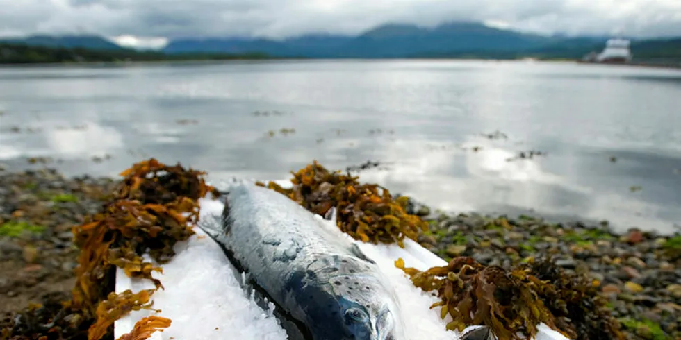 Scottish Salmon Producers Organisation (SSPO)