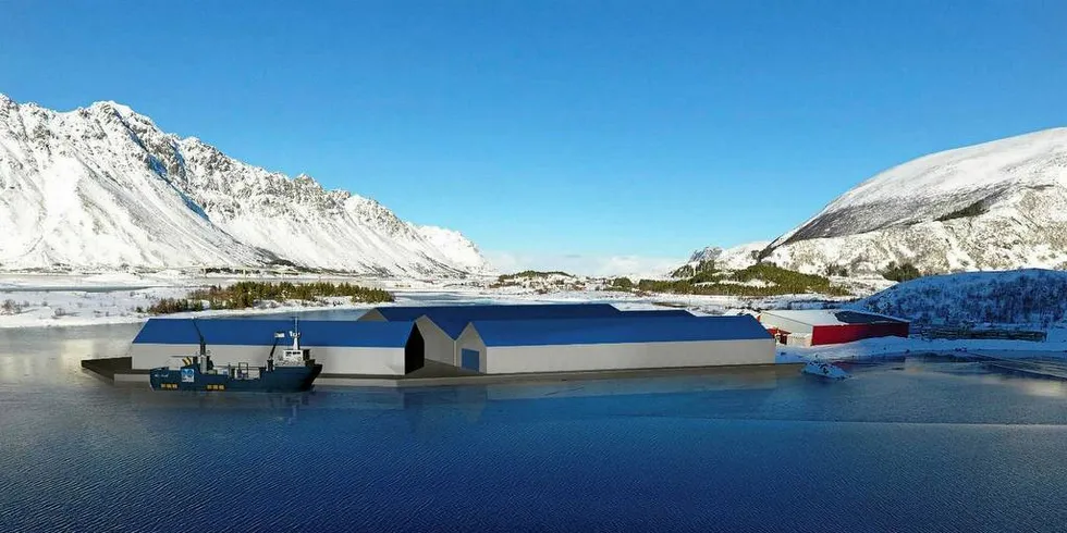 Lofoten Salmon vil etablere anlegg for oppdrett av stor smolt og matfisk på Kleppstad i Vågan kommune i Nordland.Foto: Lofoten Salmon